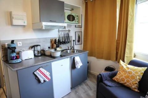 Superior Studio Suite, 1 Double Bed with Sofa bed, Non Smoking, Kitchen | Private kitchen | Stovetop, toaster, blender, eco-friendly cleaning products