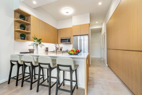 Modern chef's kitchen.