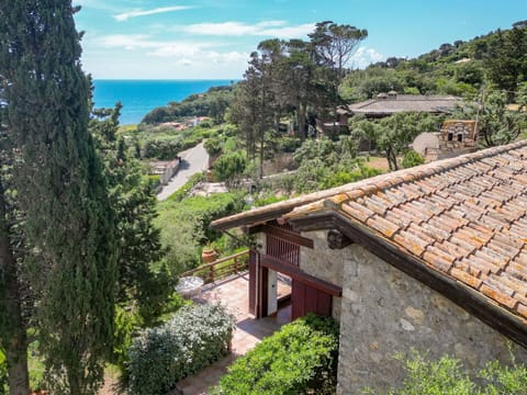 Vegetation, Shrub, Plant Community, Hill Station, Garden, Eco Hotel, Landscaping