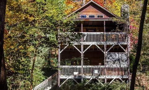 Back of cabin