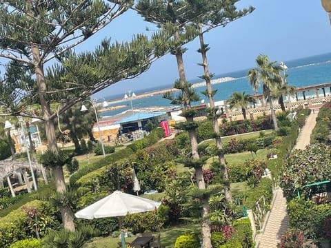 The sea view
