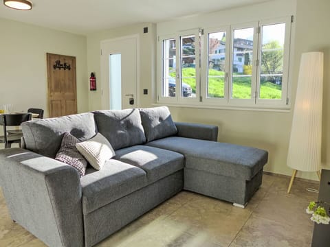 Furniture, Couch, Interior Design, Floor, Flooring, Apartment, Home, Living Room, Room