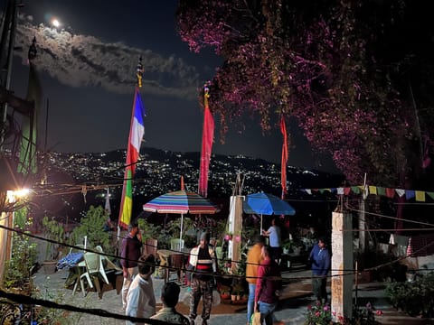 Rooftop terrace