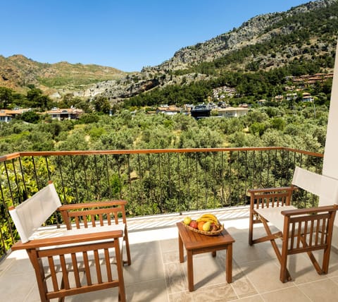 Luxury Apartment | Balcony view