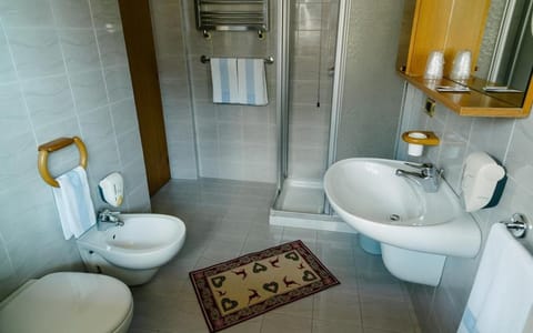 Hair dryer, bidet, towels