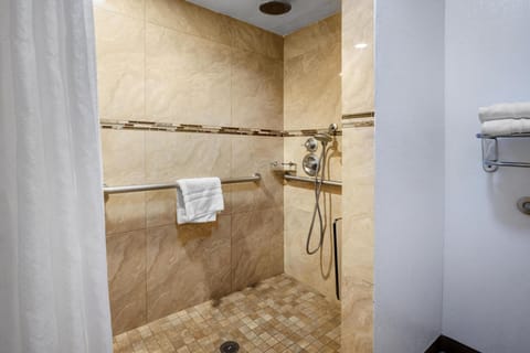 Combined shower/tub, free toiletries, hair dryer, towels