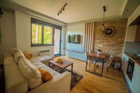 Comfort Apartment, Balcony | Living area | TV