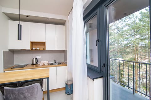 Classic Apartment, Balcony, City View | Private kitchen | Full-size fridge, cookware/dishes/utensils