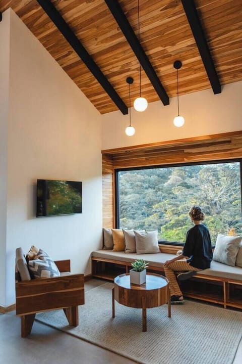 El bosque desde nuestras ventanas