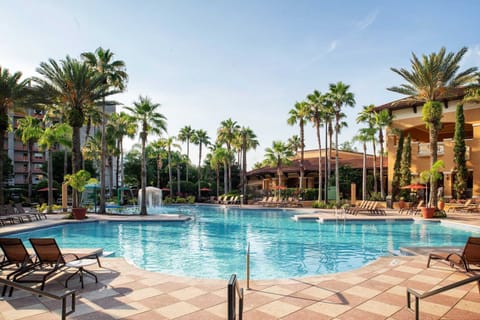 Rows of dark sun loungers line the pool deck, with tall palms and the resort building stretching behind