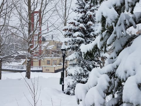 Cozy homes and snowy trees in Breckenridge.