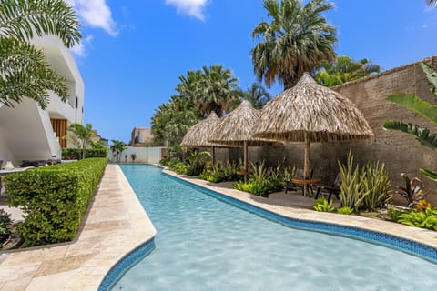 Outdoor pool, sun loungers
