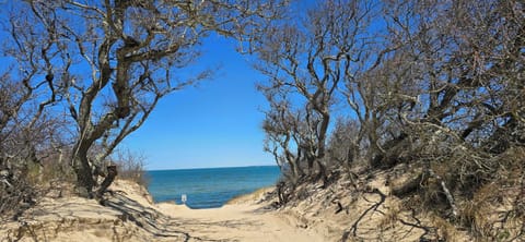 Walk to the beautiful First light Bay beach
