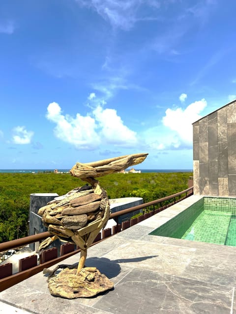 Rooftop Pool View