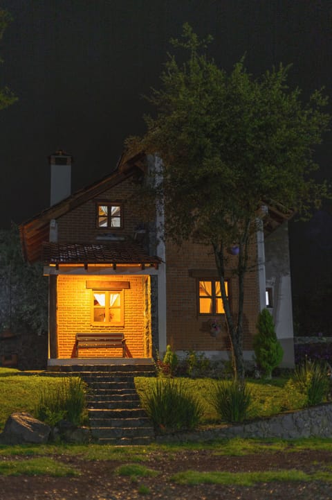 Family Cabin | 2 bedrooms, hypo-allergenic bedding, down comforters, laptop workspace