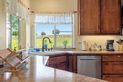 Views of the vineyard from the kitchen