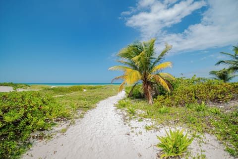Beach nearby, white sand