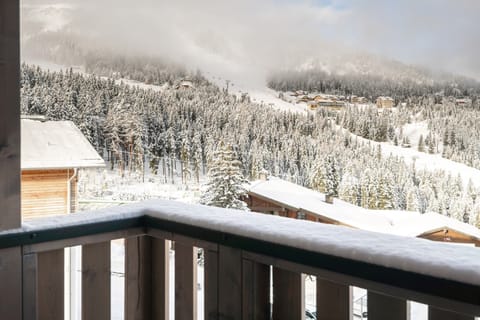 View from Holiday Home [winter]