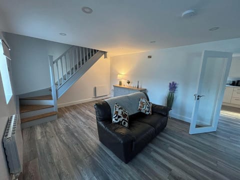 House | Living area | TV, fireplace