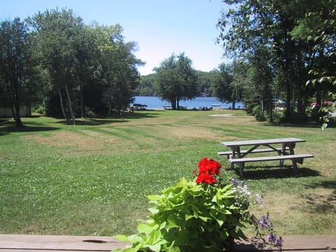 Lake view