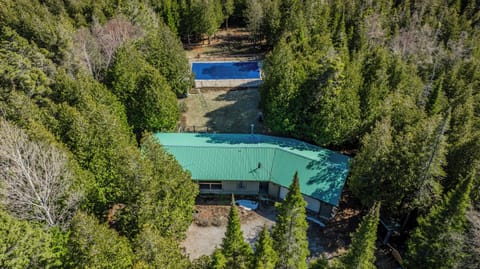 Secluded forest retreat featuring a metal-roofed cabin and private in-ground pool—ideal for tranquil vacation rentals or nature-focused escapes.