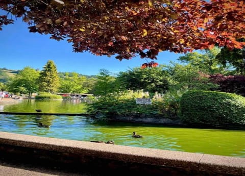 Apartment | View from property