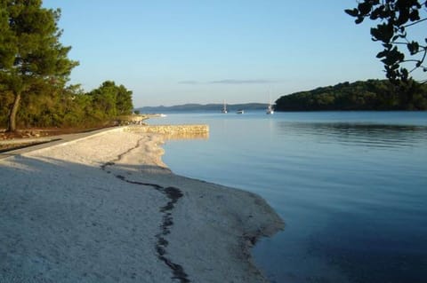 Apartment | View from property