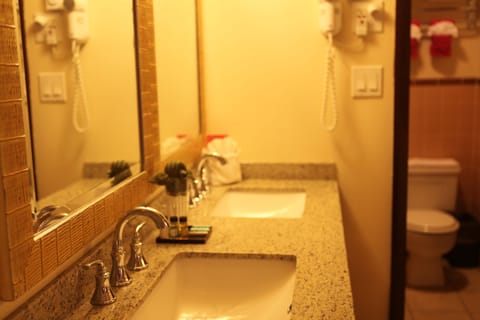 Combined shower/tub, hair dryer, towels