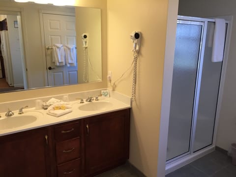 Suite, 1 Bedroom | Bathroom | Hair dryer, towels