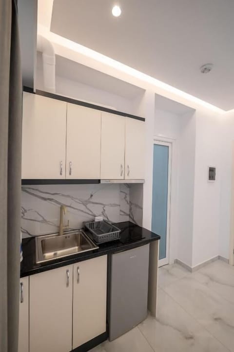 Deluxe Apartment | Private kitchenette | Fridge