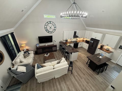 Living room and kitchen