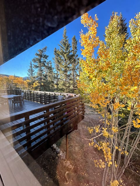 directly out the queen bedroom window. Fall here is beautiful!