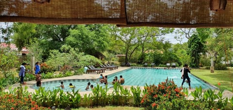 Outdoor pool, open 7:30 AM to 8:30 PM, sun loungers