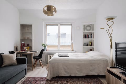 Basic Apartment, City View | Iron/ironing board, free WiFi