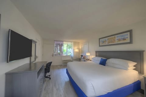 Drift off comfortably in a spacious room with calming light.