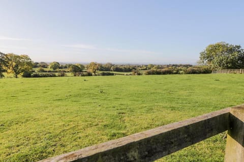 Region [summer] (>5 km)