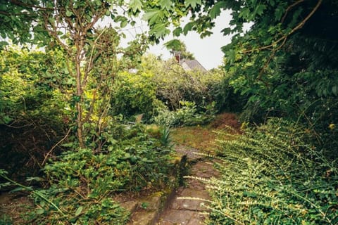 Region [summer] (>5 km)