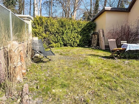 Grass, Shrub, Garden, Land Lot, Groundcover, Backyard, Lawn, Shade, Yard, Landscaping