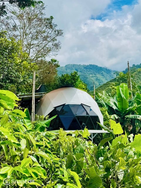 Our Dome