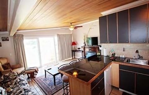 TV, fireplace, table tennis