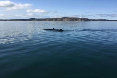 Surroundings [summer] (1-5 km)