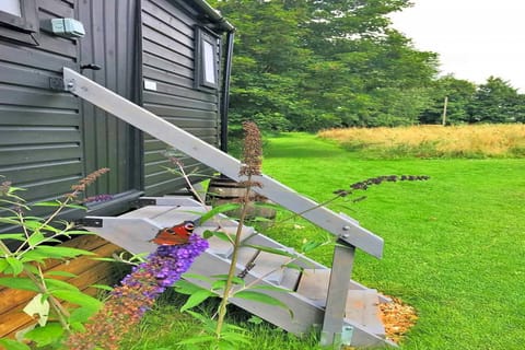 Entrance / Reception