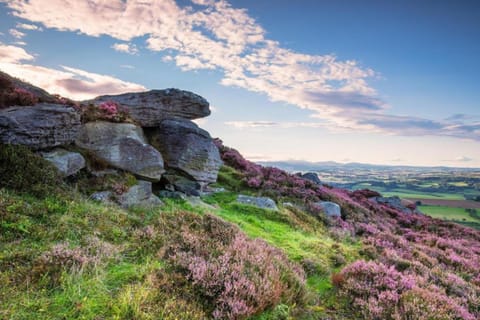 Surroundings [summer] (1-5 km)