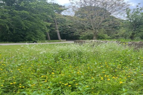 Surroundings [summer] (1-5 km)