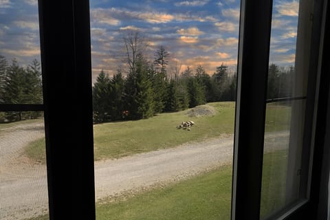 The view of the slopes from the window.