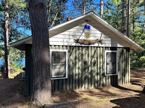 Lakeside Cabin