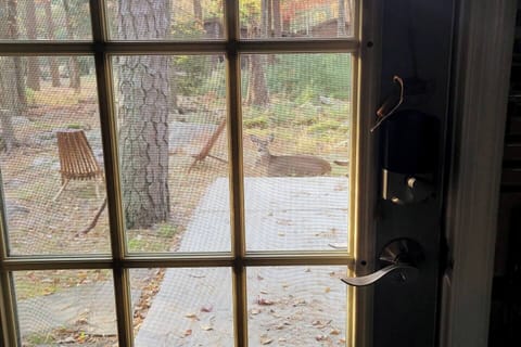 You'll feel as welcome as this deer to make yourself comfortable here.