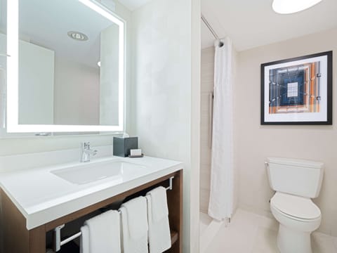 Basic Room, 1 King Bed | Bathroom shower