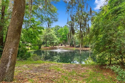 Serene lagoon located directly behind the villa, perfect for observing local Lowcountry wildlife.