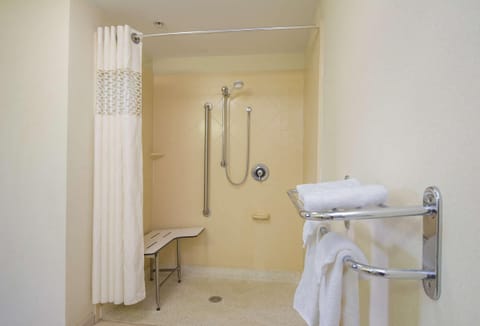 Room, 1 King Bed, Accessible, Non Smoking | Bathroom | Combined shower/tub, free toiletries, hair dryer, towels
